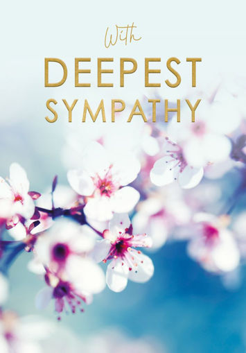 Picture of DEEPEST SYMPATHY CARD